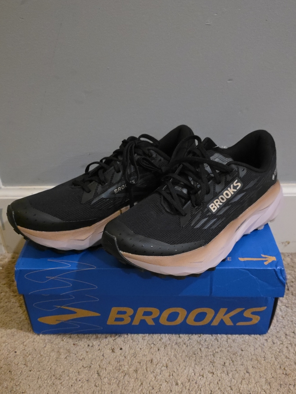 Brooks Cascadia 19 GTX Men's NWT